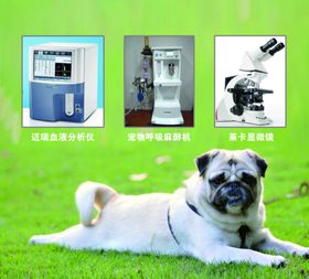宠物健康仪器