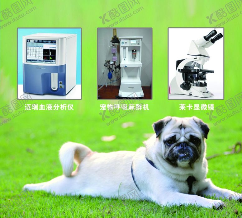 编号：15012709210800346106【酷图网】源文件下载-宠物健康仪器