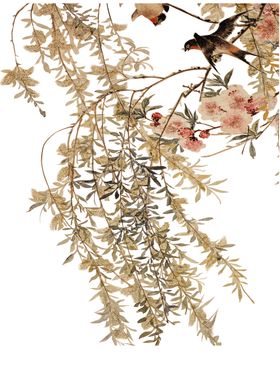 杨柳水墨画