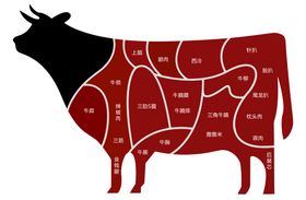 新牛肉分割图