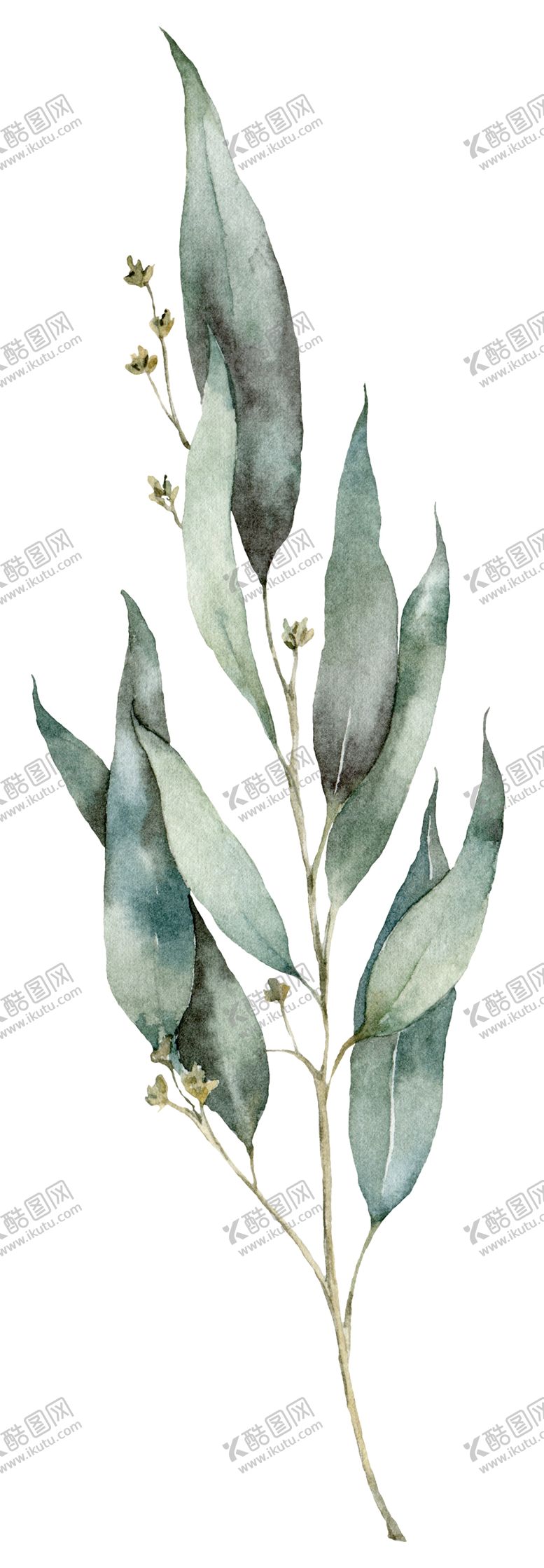 编号：62539206280356454084【酷图网】源文件下载-植物花朵装饰图案