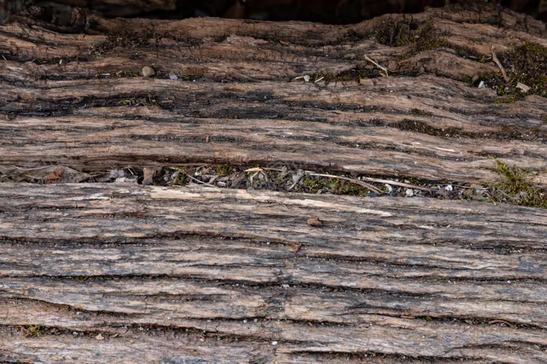 编号：36644906251438253337【酷图网】源文件下载-木板