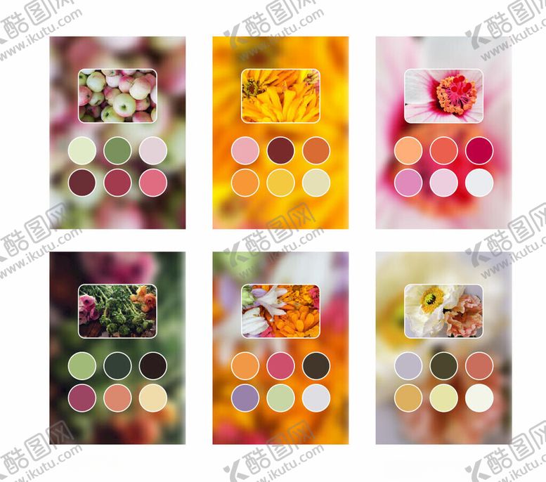 编号：80022511020103203725【酷图网】源文件下载-配色