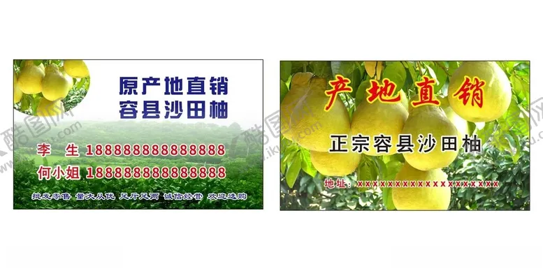 编号：44095912061738112155【酷图网】源文件下载-沙田柚名片