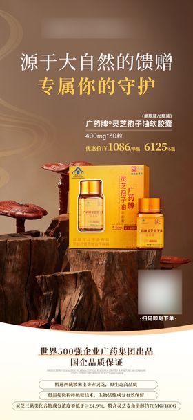 灵芝产品价格海报