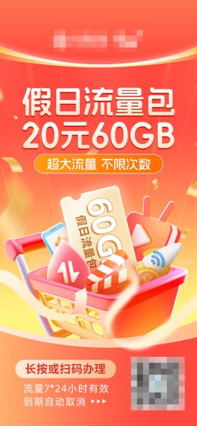 移动运营商假日流量包