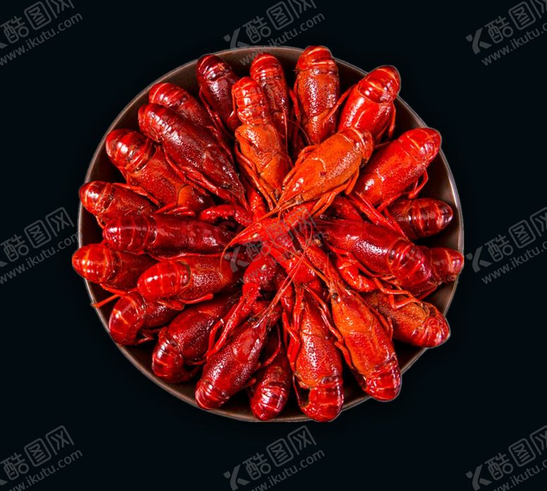 编号：66886610040140524300【酷图网】源文件下载-小龙虾