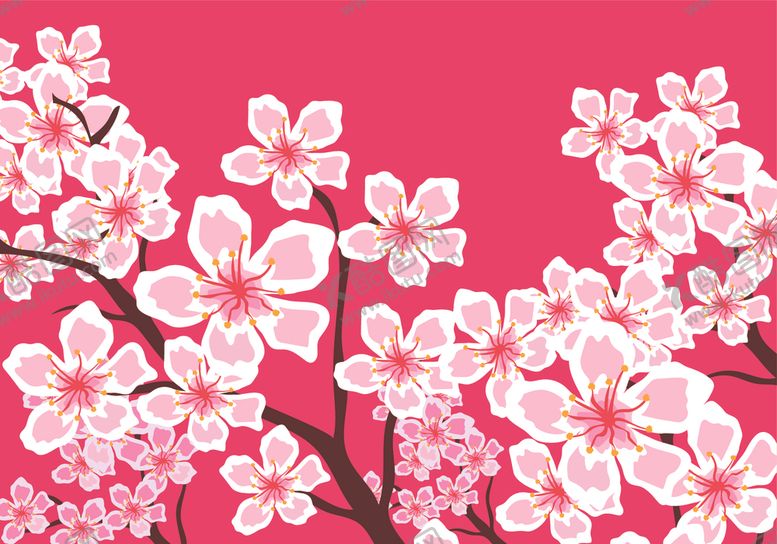 编号：76502909220107084806【酷图网】源文件下载-樱花矢量背景
