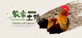 农家土鸡海报
