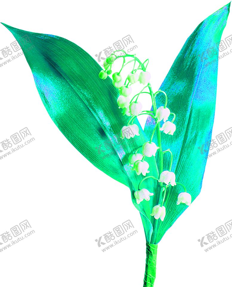 编号：25417009221604573555【酷图网】源文件下载-花素材