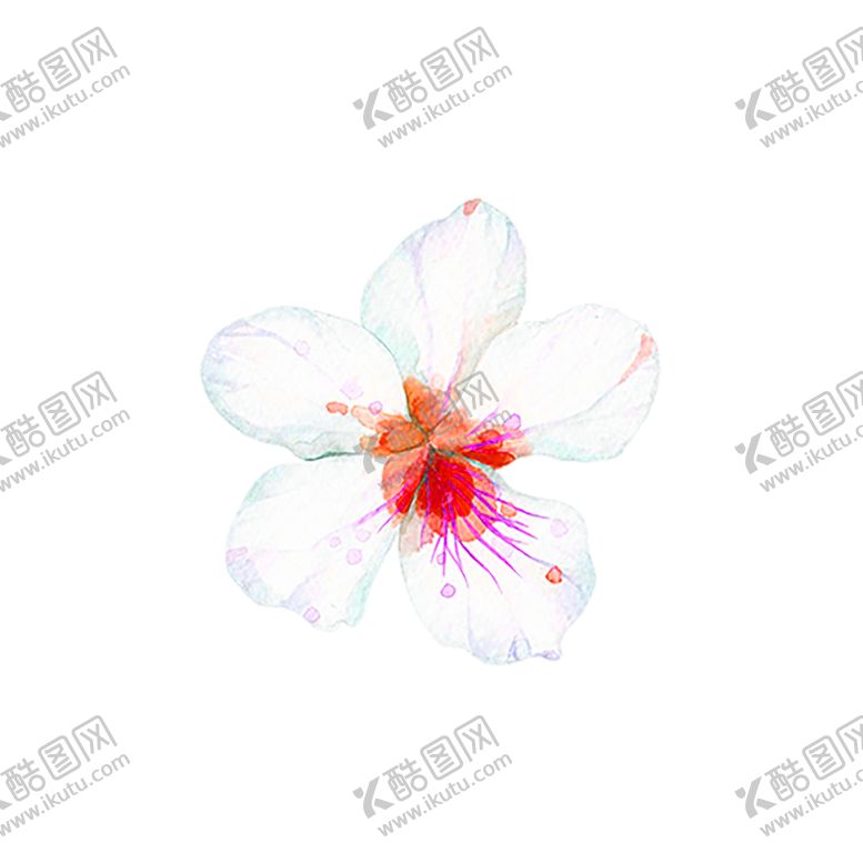编号：69109810070929268706【酷图网】源文件下载-鲜花素材