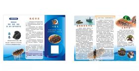 海参