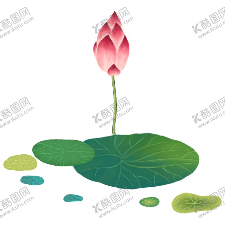 编号：88581405032144458911【酷图网】源文件下载-荷花元素