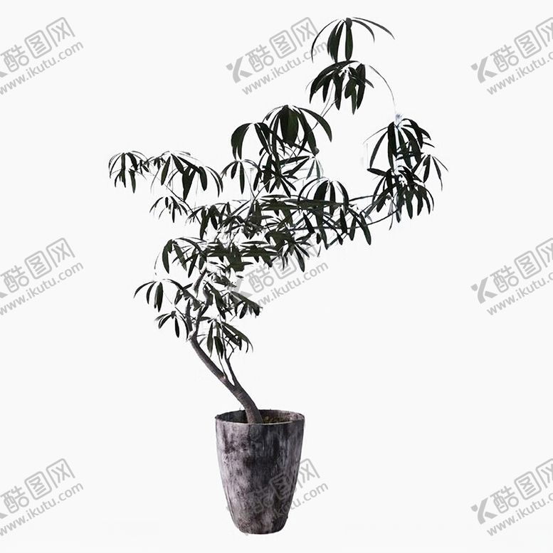 编号：42029801251553159228【酷图网】源文件下载-C4D模型绿色植物