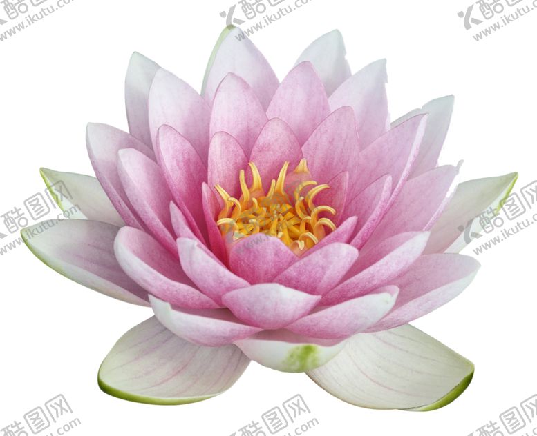 编号：26771206152311274631【酷图网】源文件下载-莲花