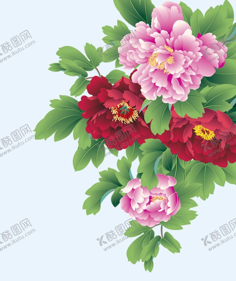 编号：43262609201632429906【酷图网】源文件下载-牡丹花