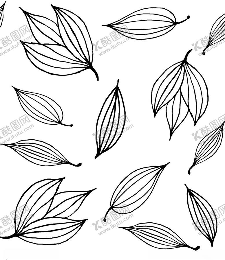 编号：87903510221805043351【酷图网】源文件下载-黑白简约线条植物绘画