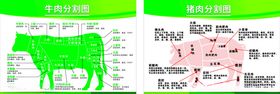 猪肉和牛肉分割图
