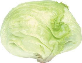 包菜