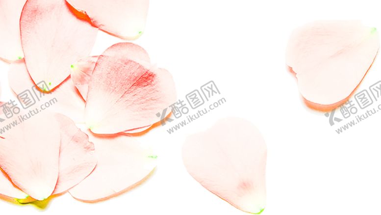 编号：95544410301342513652【酷图网】源文件下载-花素材