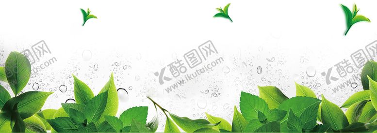 编号：38931210022141147213【酷图网】源文件下载-绿色植物