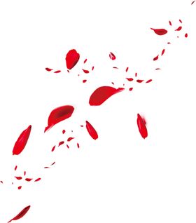 花瓣