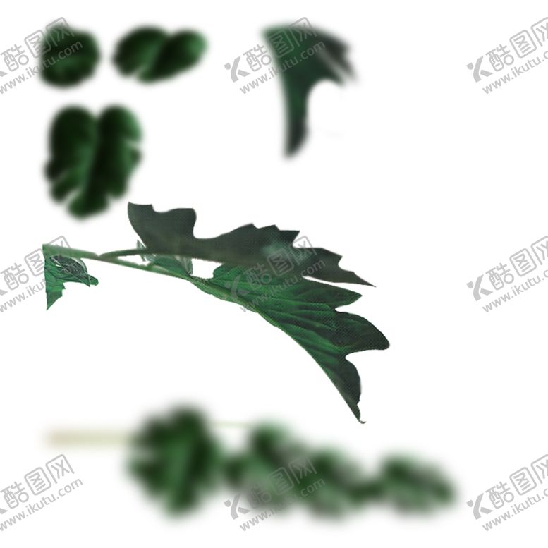 编号：98138104191158245817【酷图网】源文件下载-热带绿叶