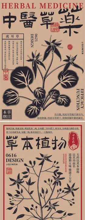 石斛 中医 中药 草药 简笔画