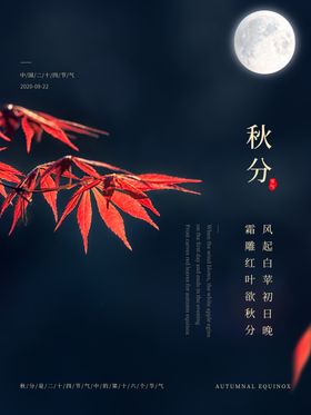 秋分