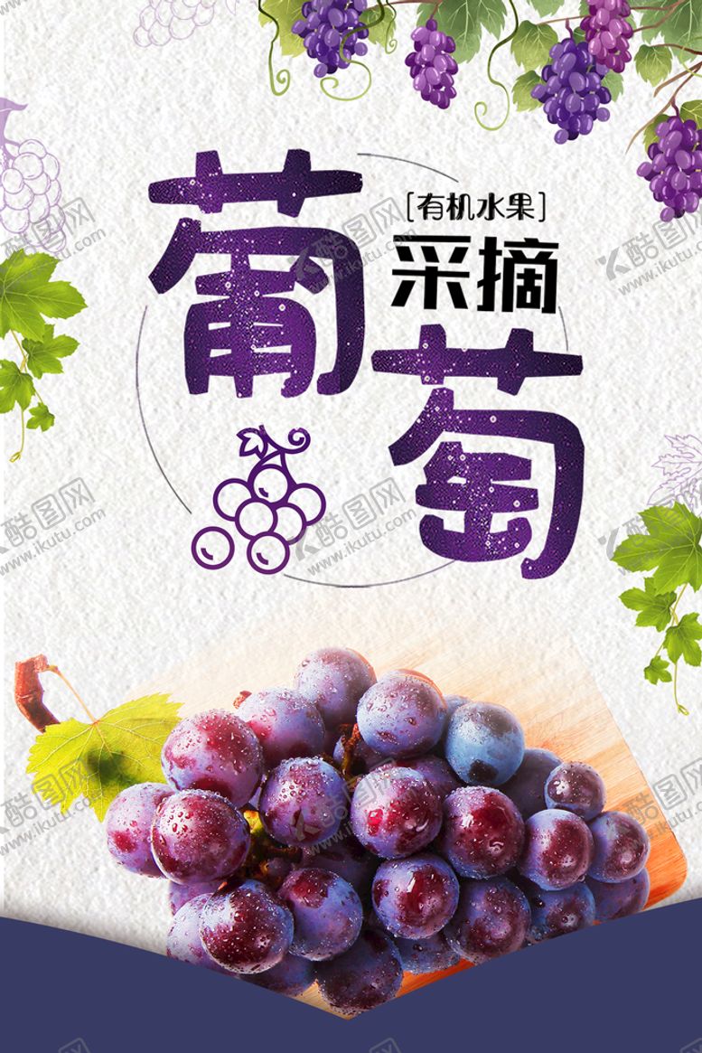 编号：37954811051319252337【酷图网】源文件下载-葡萄