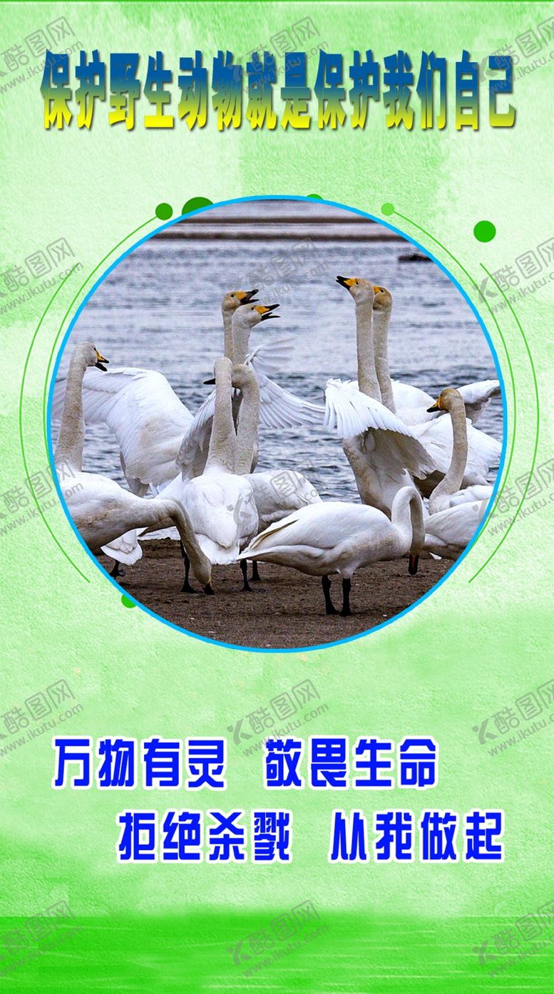编号：44109110050353575844【酷图网】源文件下载-野生动物宣传图片