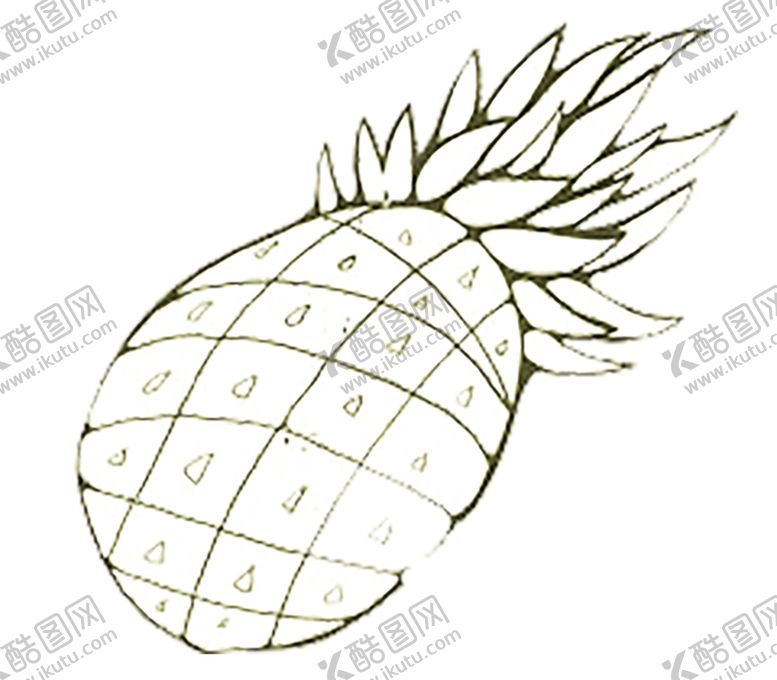 编号：22713109181522391174【酷图网】源文件下载-菠萝