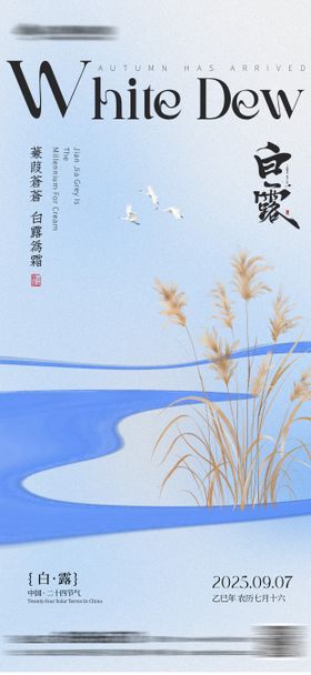 白露简约节气海报