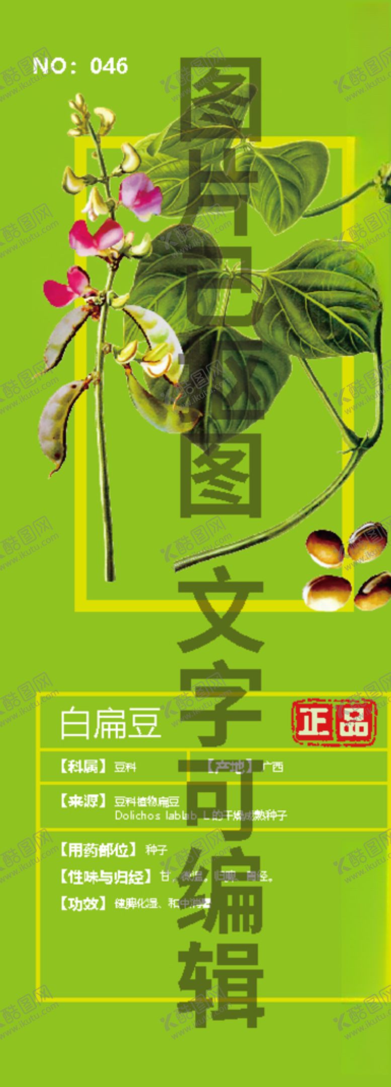编号：49710604080039343367【酷图网】源文件下载-白扁豆