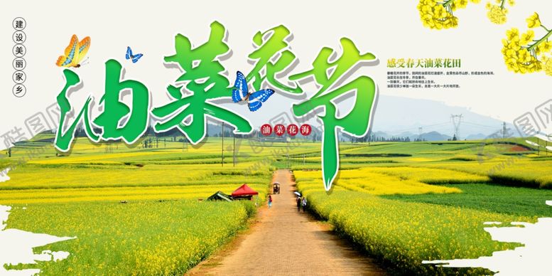 编号：96645407071910154737【酷图网】源文件下载-油菜花