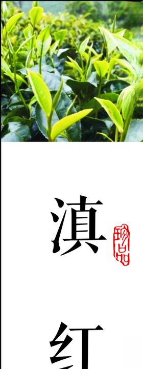 茶叶标签