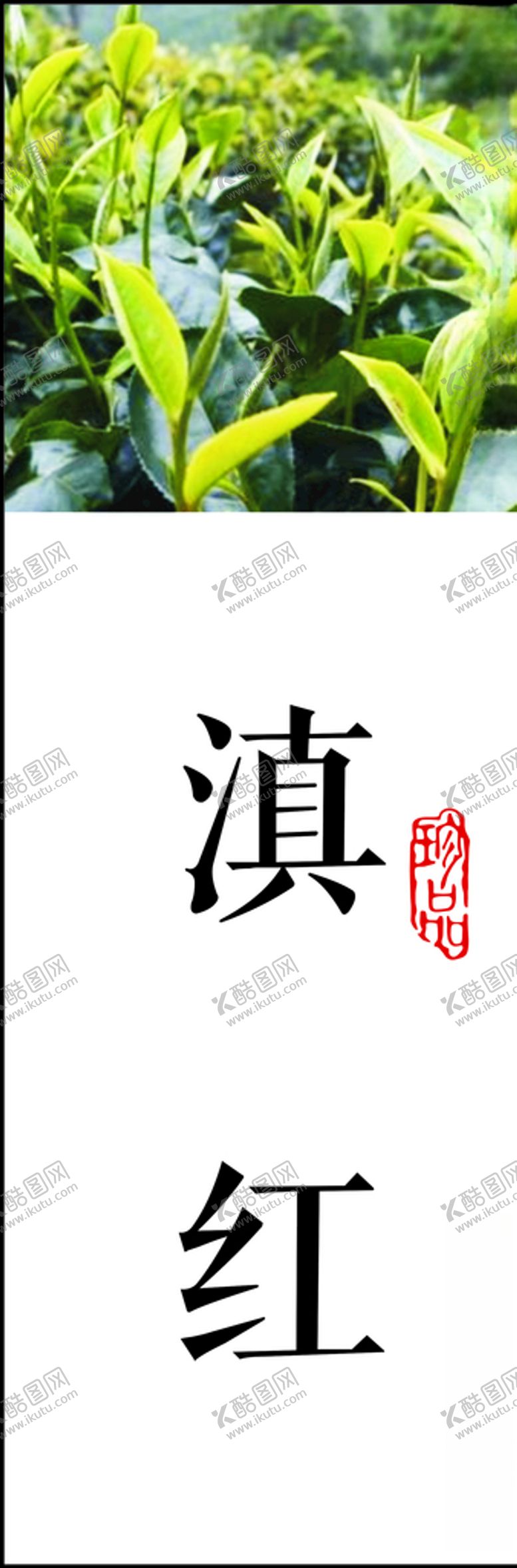 编号：20572705040901071879【酷图网】源文件下载-茶叶标签