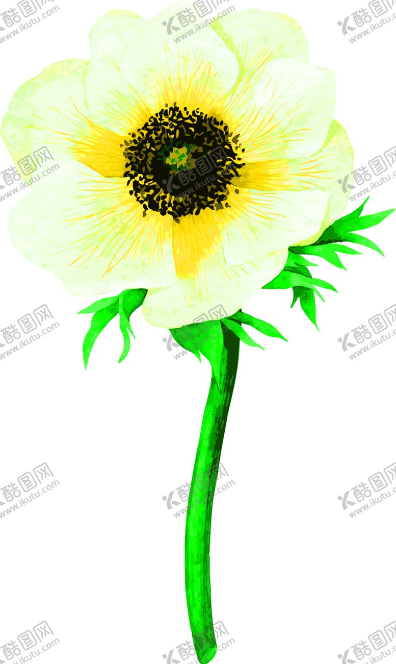 编号：95629409251620155520【酷图网】源文件下载-花素材