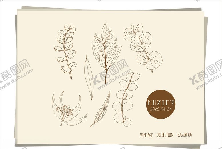 编号：98767409281016099097【酷图网】源文件下载-桉树手绘稿