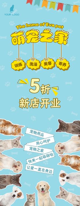 宠物海报