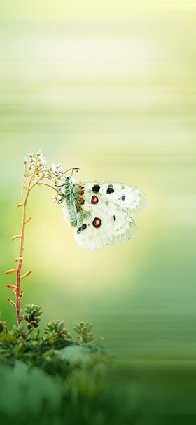 节气刷屏