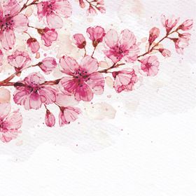 花卉卡片玫瑰情人节日茶