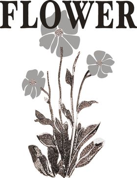 FLOWER花