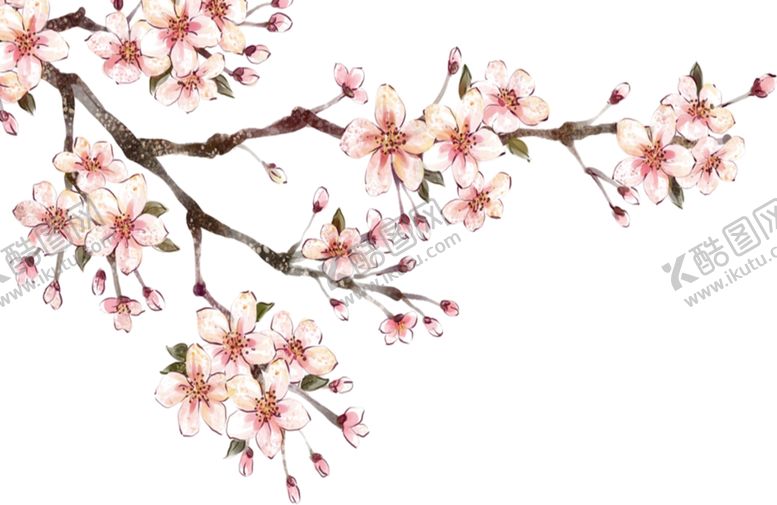 编号：64004104181112437080【酷图网】源文件下载-桃花素材