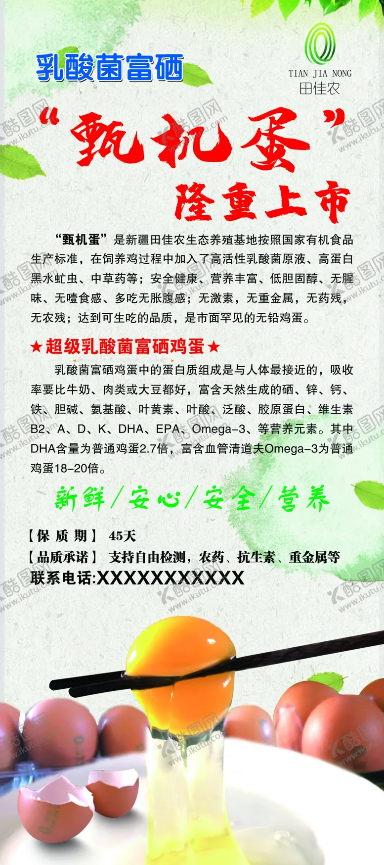 编号：24175702230136031080【酷图网】源文件下载-营养鸡蛋展架