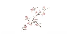 手绘花卉