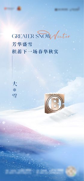 地产大雪海报