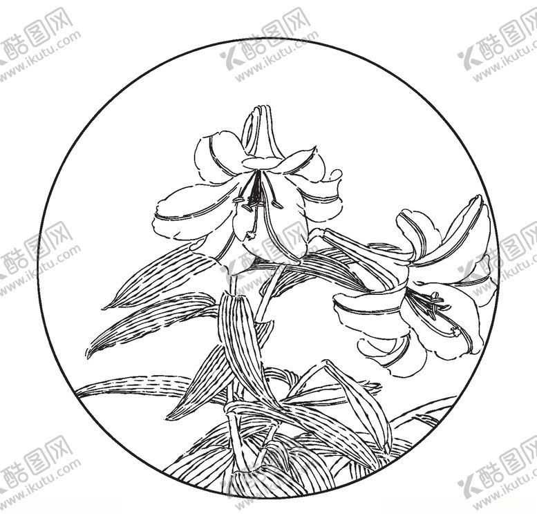 编号：40334310270133454584【酷图网】源文件下载-百合