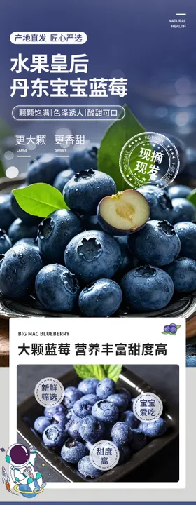 丹东宝宝蓝莓页