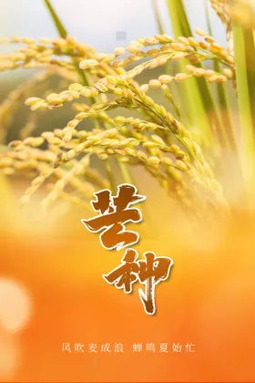 芒种海报画册朋友圈小麦丰收单页